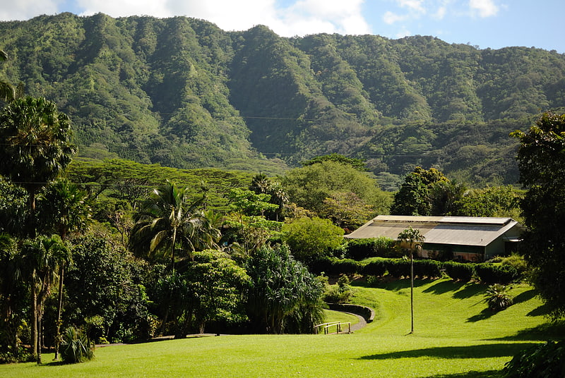 Arboretum in Honolulu, Hawaii