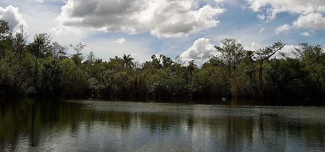 Sinkhole in Florida