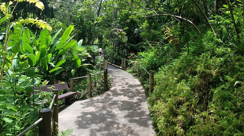 Botanical garden in the Hawaii County, Hawaii