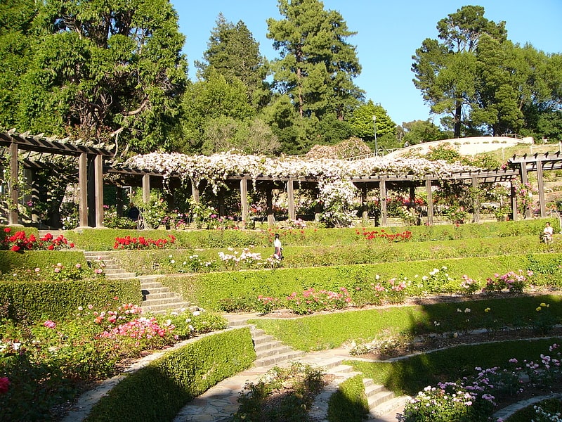 Jardín en Berkeley, California
