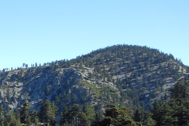 Timber Mountain