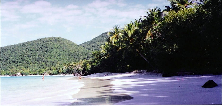 Beach in the United States Virgin Islands