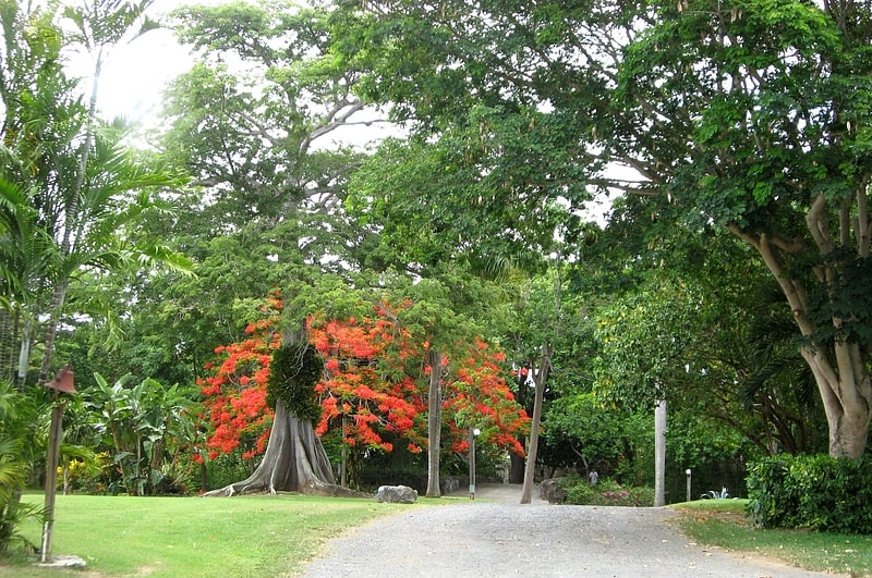 Jardín botánico en las Islas Vírgenes de los Estados Unidos