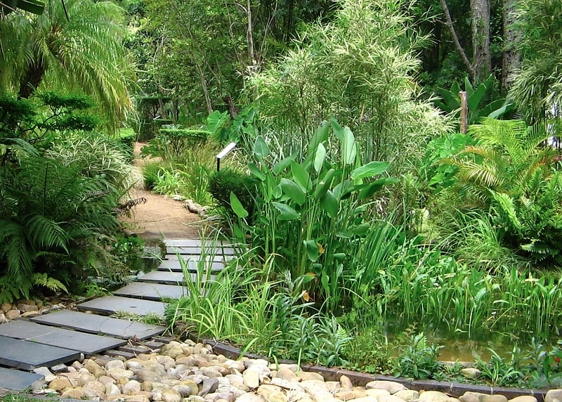 Botanical garden in Stellenbosch, South Africa