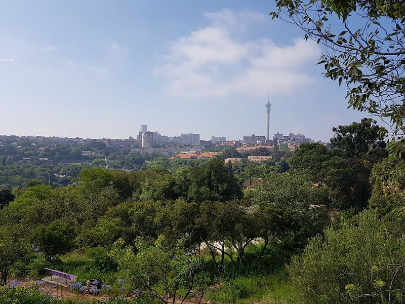 Park in Johannesburg, South Africa