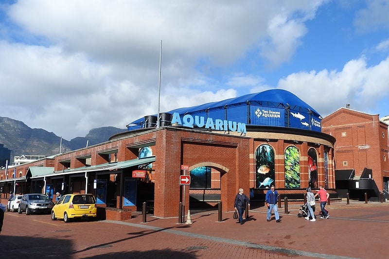 Aquarium in Kapstadt, Südafrika
