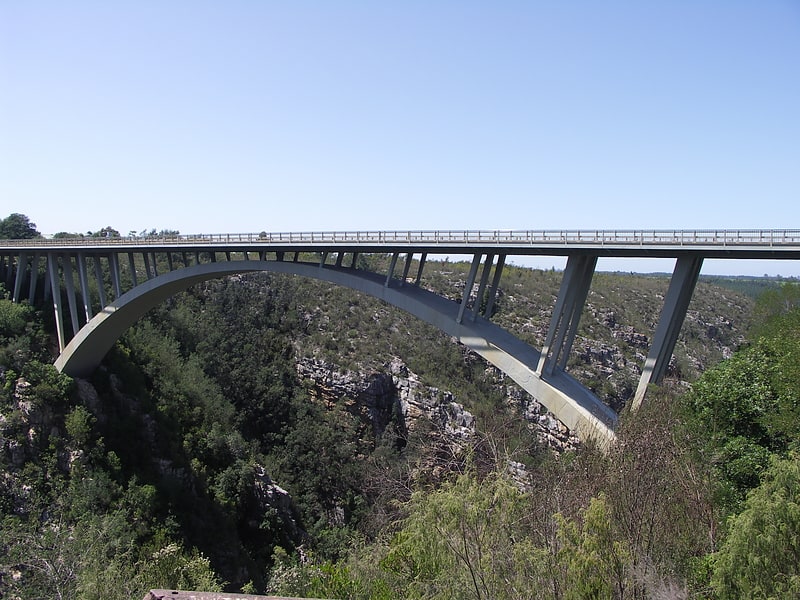 Deck arch bridge in South Africa