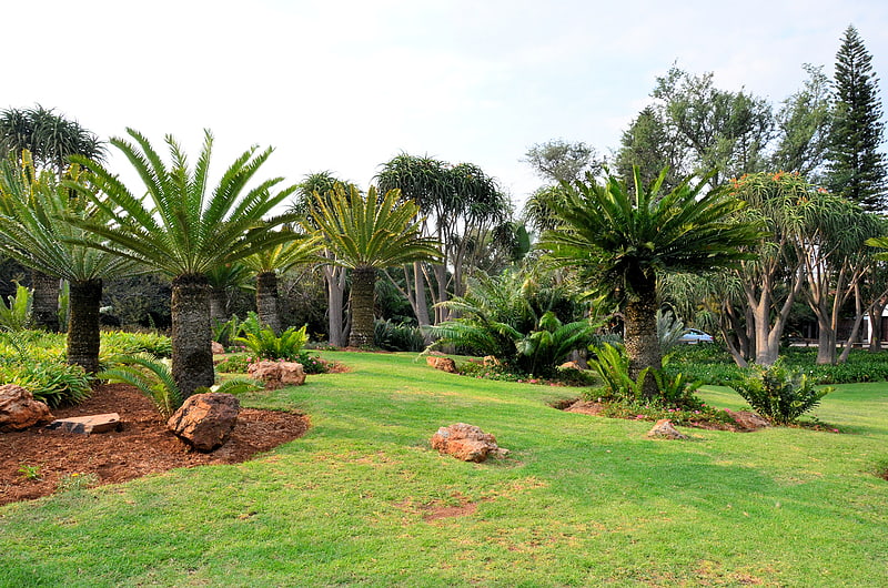 Parque en Pretoria, Sudáfrica