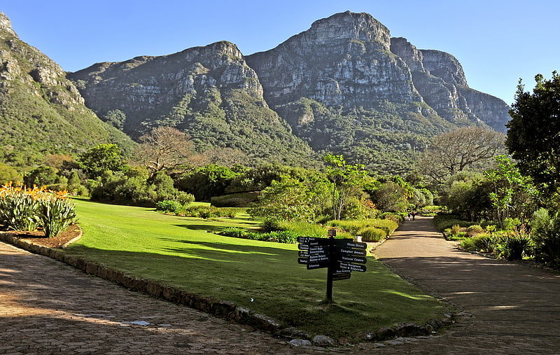 Botanical garden in Cape Town, South Africa